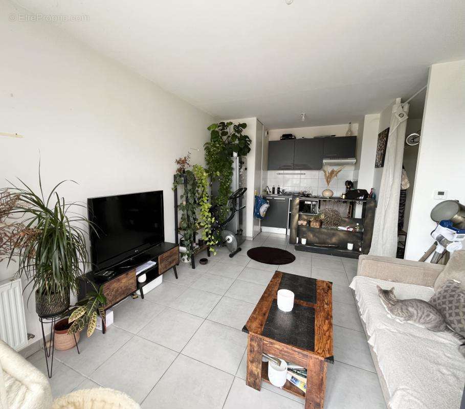 Appartement à BLAGNAC