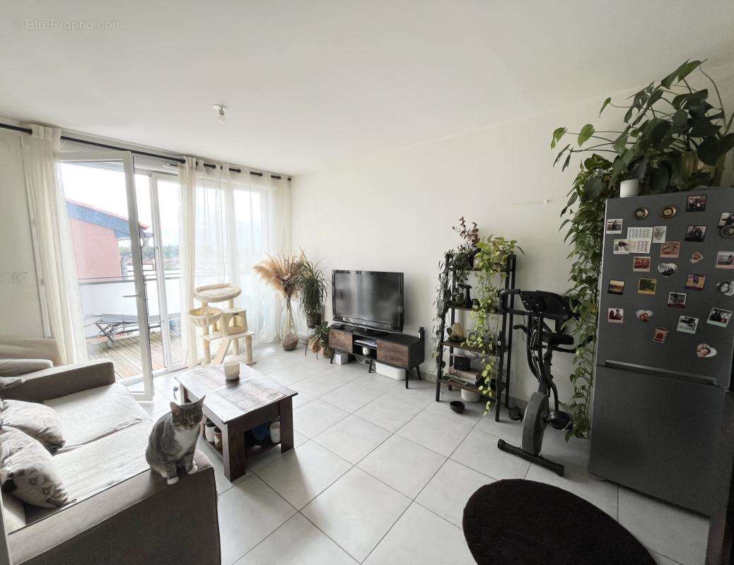 Appartement à BLAGNAC