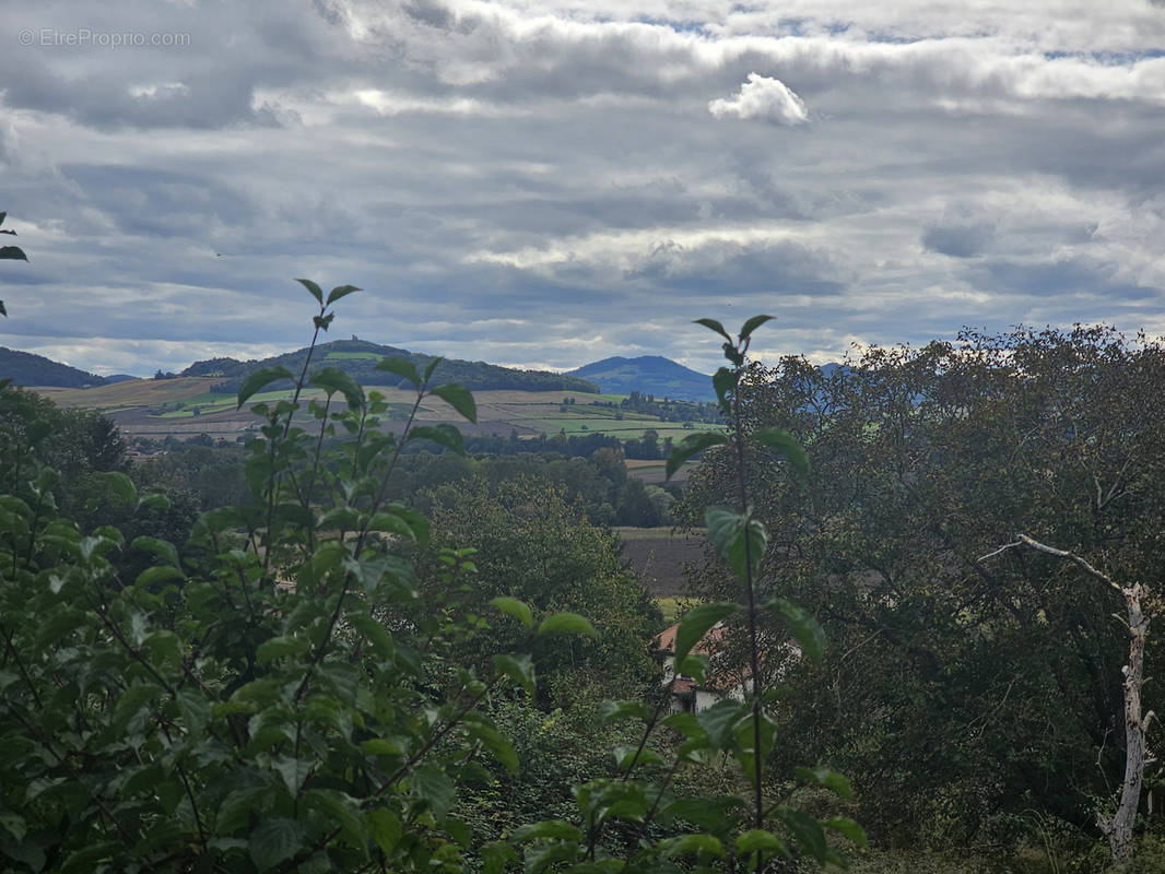 Terrain à MOISSAT