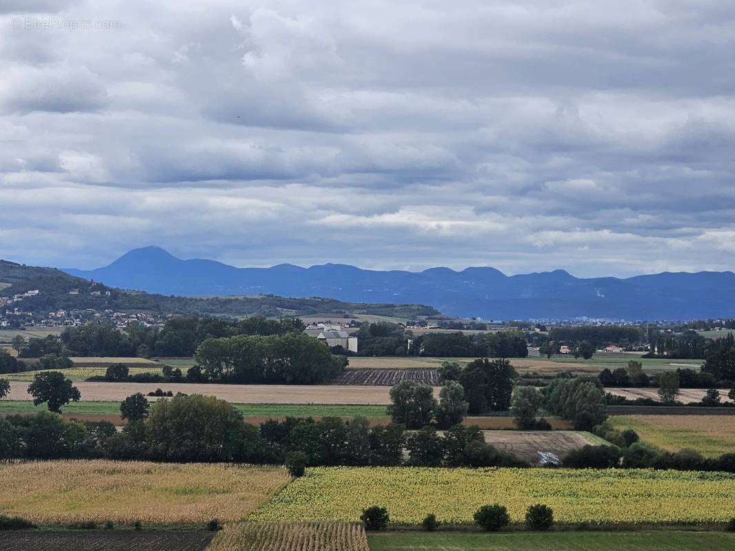 Terrain à MOISSAT