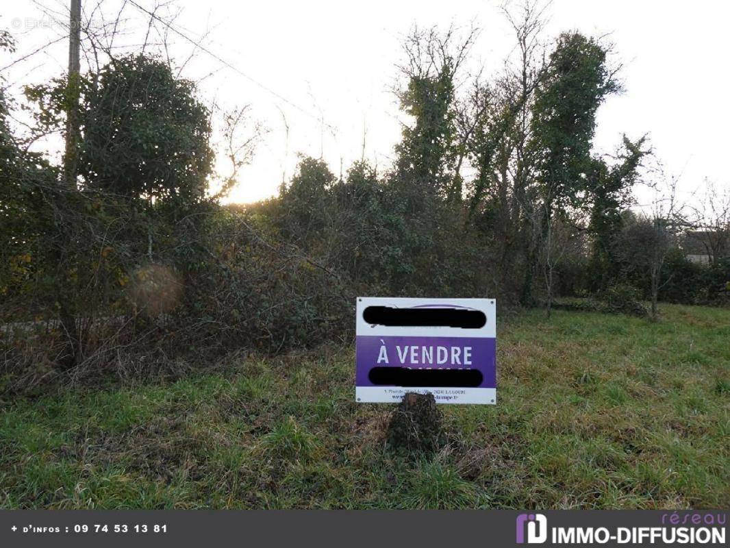 Terrain à LA LOUPE