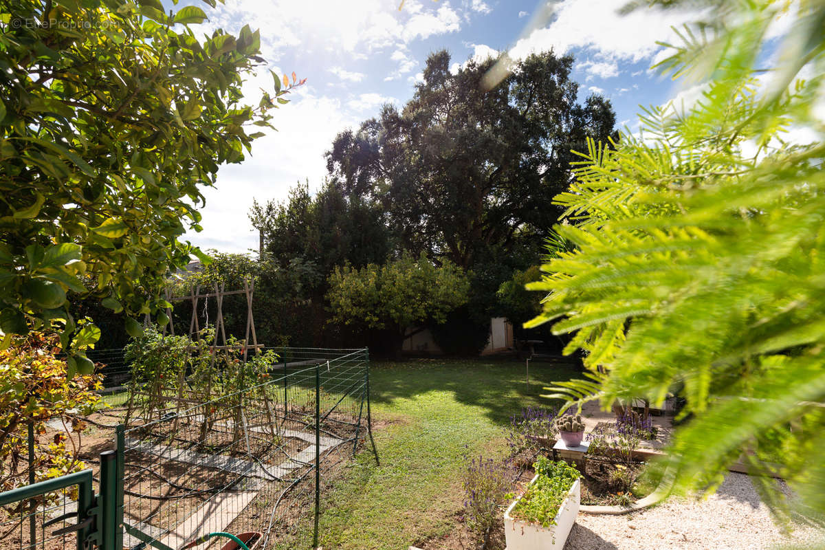 Maison à LA ROQUETTE-SUR-SIAGNE