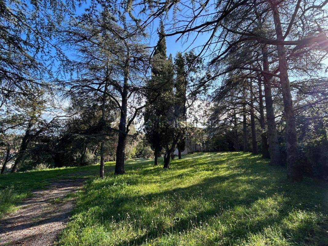 Terrain à ROQUEBRUNE-SUR-ARGENS