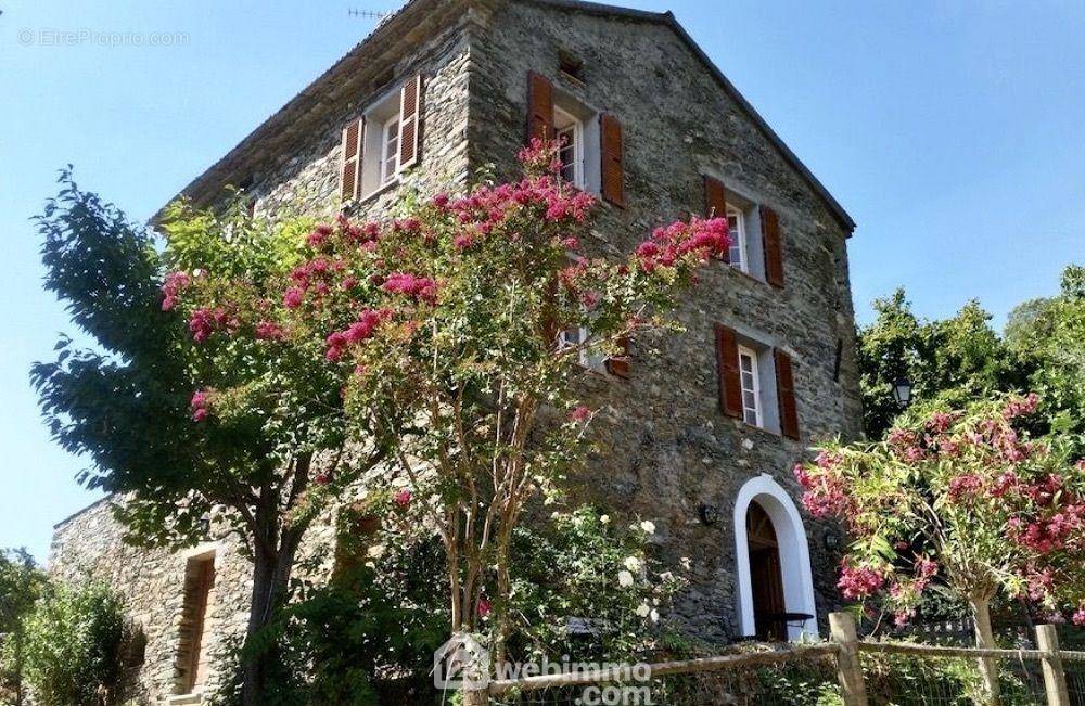 Splendide maison ancienne et rénovée - Maison à GIOCATOJO