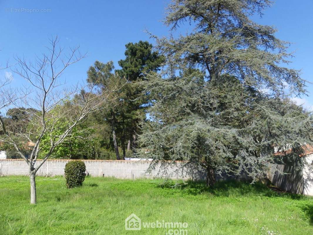 Jardin clos et arboré. - Maison à SAINT-VINCENT-SUR-JARD