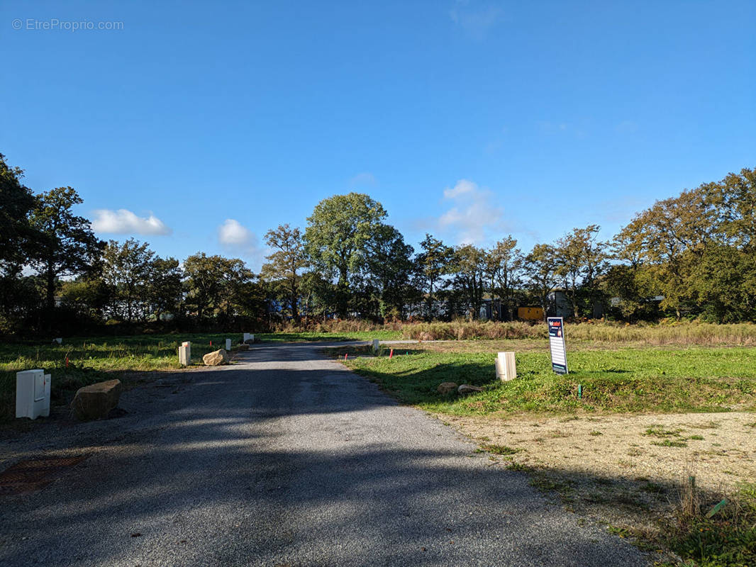 Terrain à PEAULE