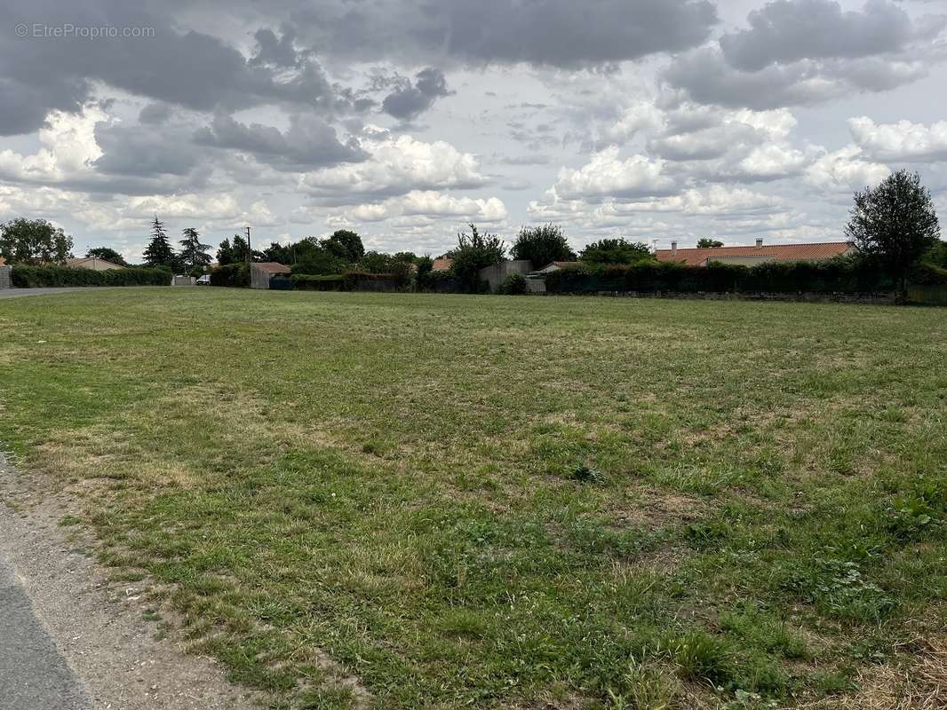 Terrain à MAUZE-SUR-LE-MIGNON