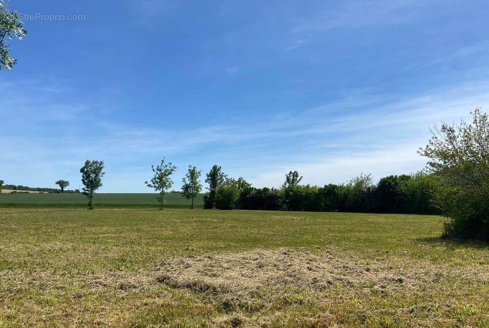 Terrain à CELLES-SUR-BELLE