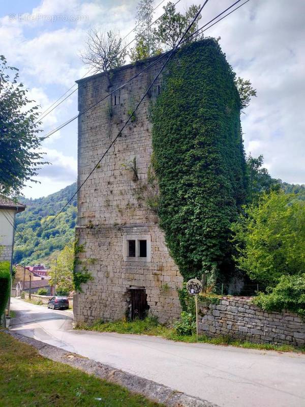 Photo 1 - Maison à SALINS-LES-BAINS