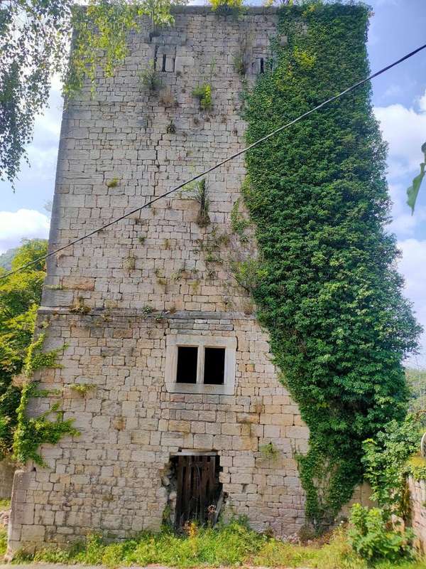 Photo 2 - Maison à SALINS-LES-BAINS