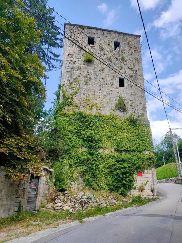 Photo 3 - Maison à SALINS-LES-BAINS