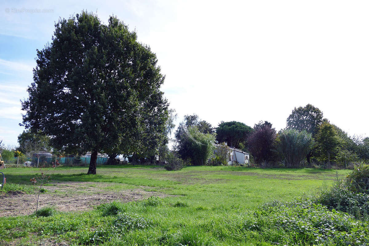 Terrain à ARVERT