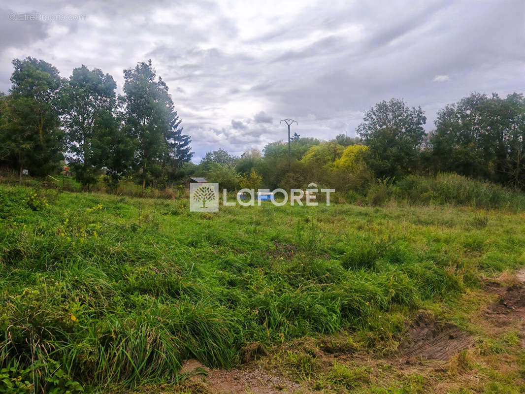 Terrain à FERRIERES