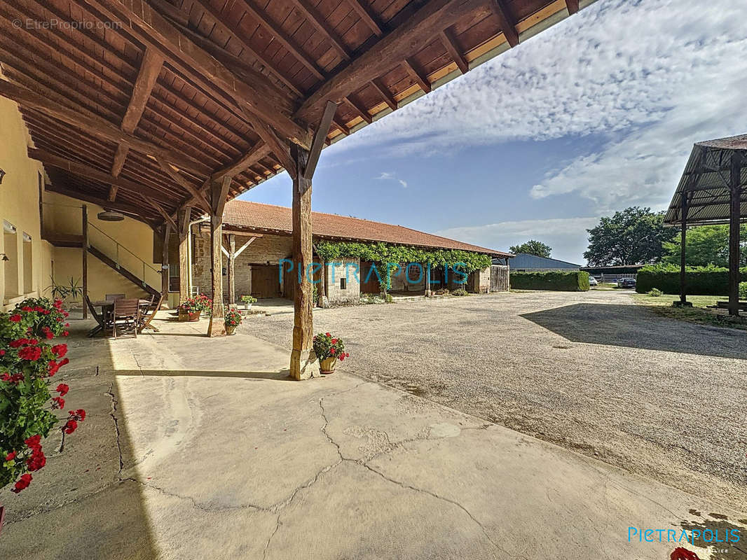 Terrasse et dépendances - Maison à CHATILLON-SUR-CHALARONNE