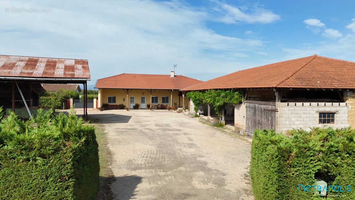 Maison à CHATILLON-SUR-CHALARONNE