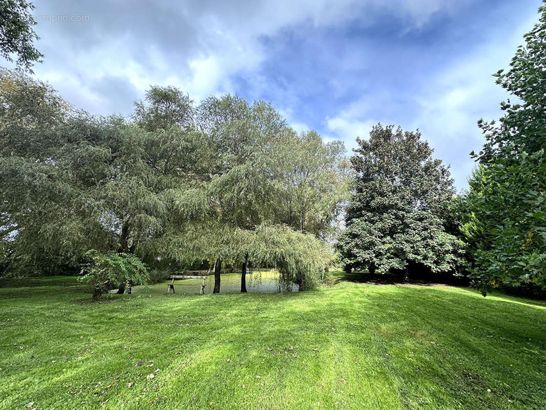 Terrain à HAN-SUR-NIED