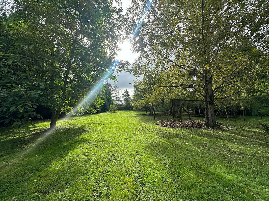 Terrain à HAN-SUR-NIED