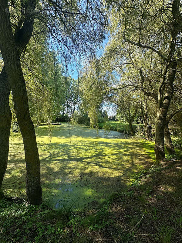 Terrain à HAN-SUR-NIED