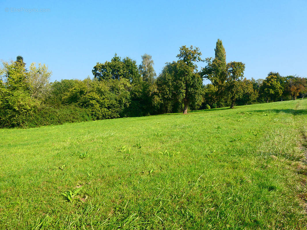 Terrain à PONT-L&#039;EVEQUE