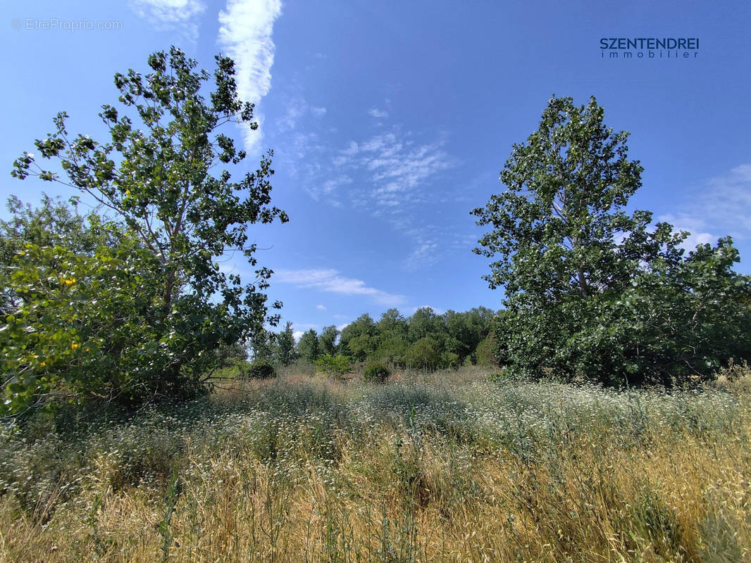 Terrain à MARSILLARGUES