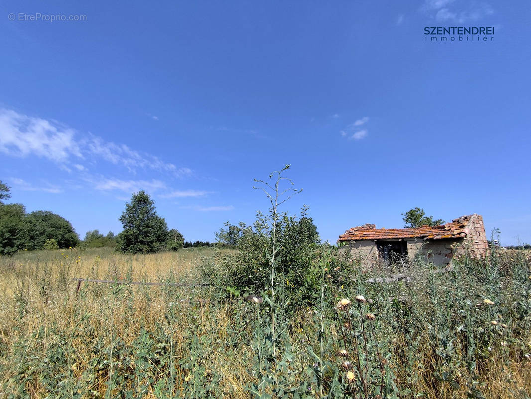 Terrain à MARSILLARGUES