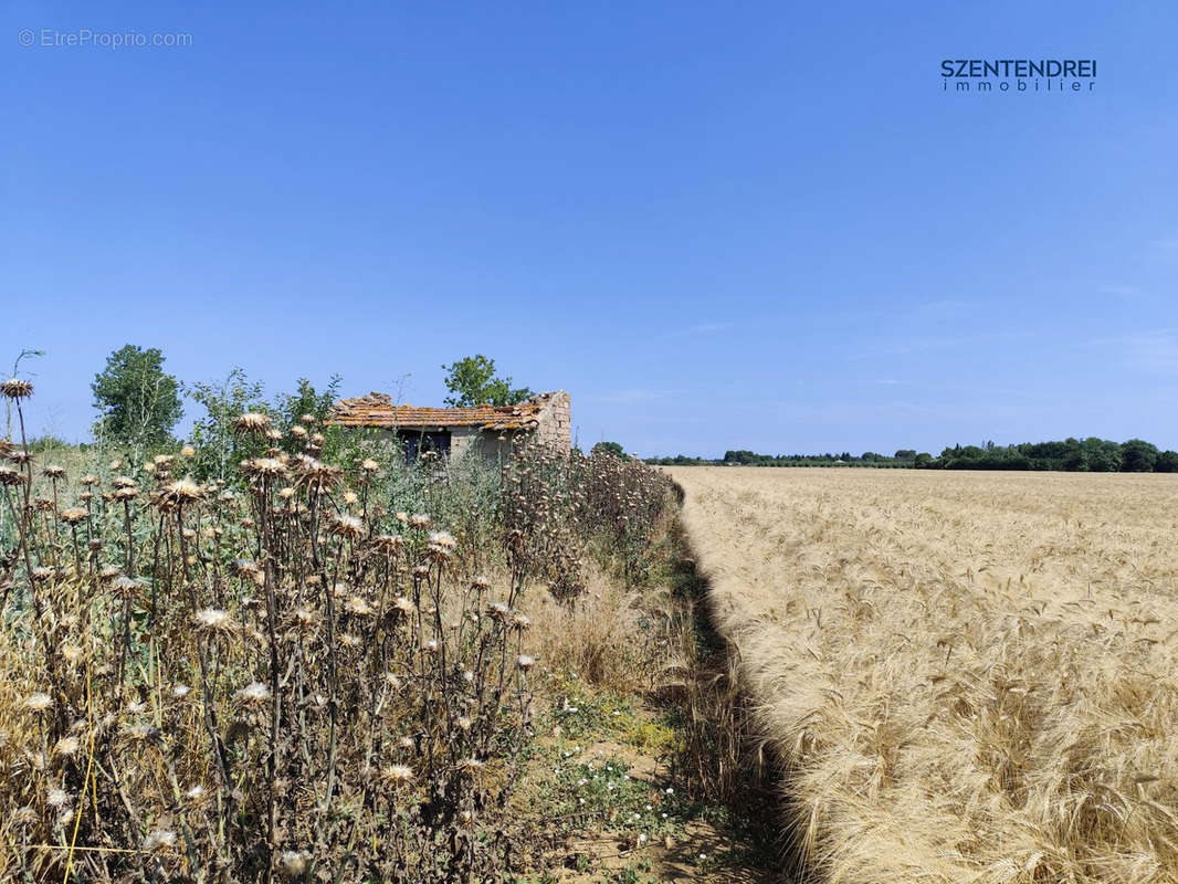 Terrain à MARSILLARGUES