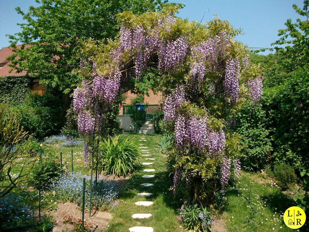 Maison à DOULLENS