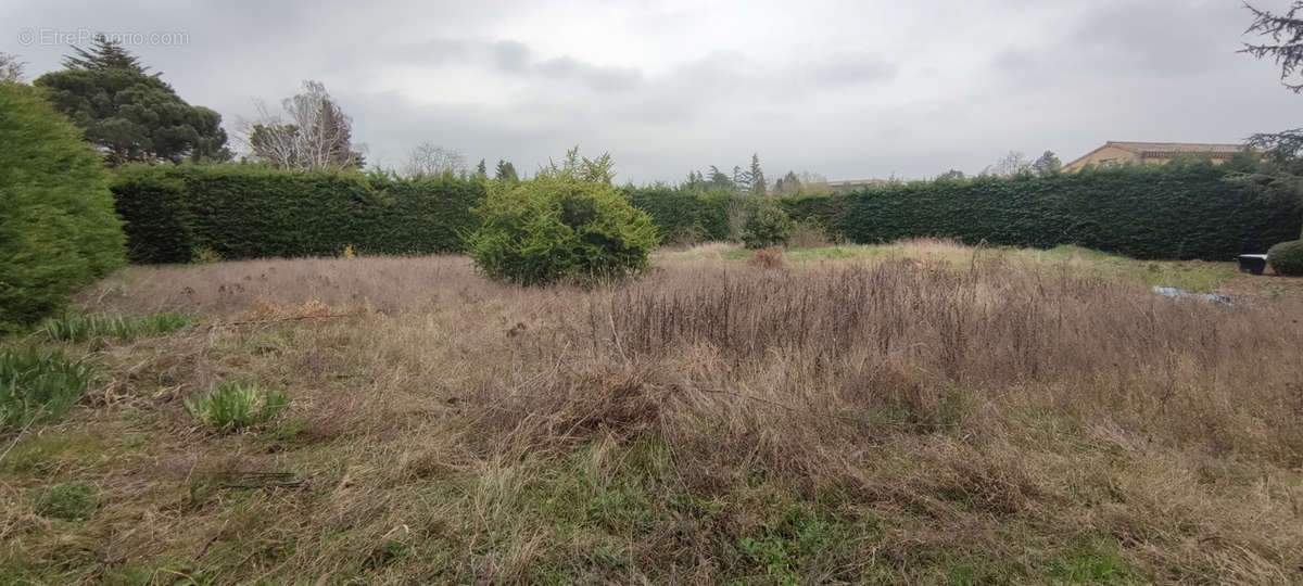 Terrain à LA ROCHE-DE-GLUN