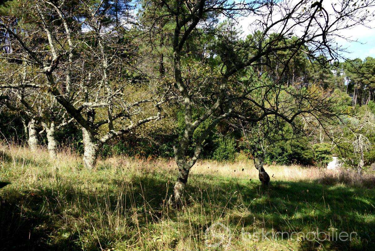 Terrain à AUBENAS