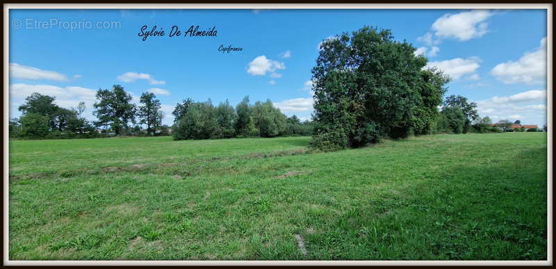 Terrain à BAGE-LE-CHATEL