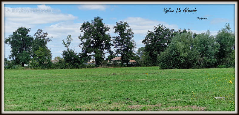 Terrain à BAGE-LE-CHATEL