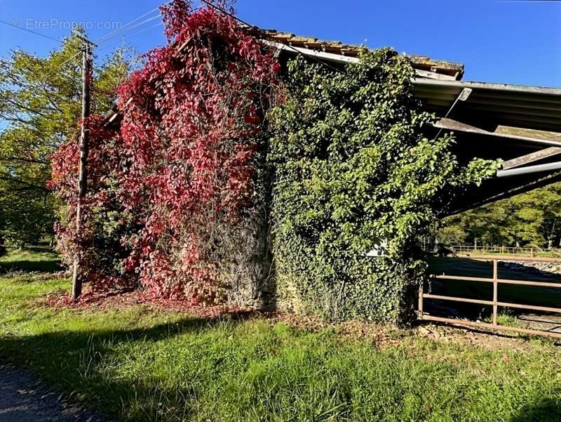 Maison à EAUZE