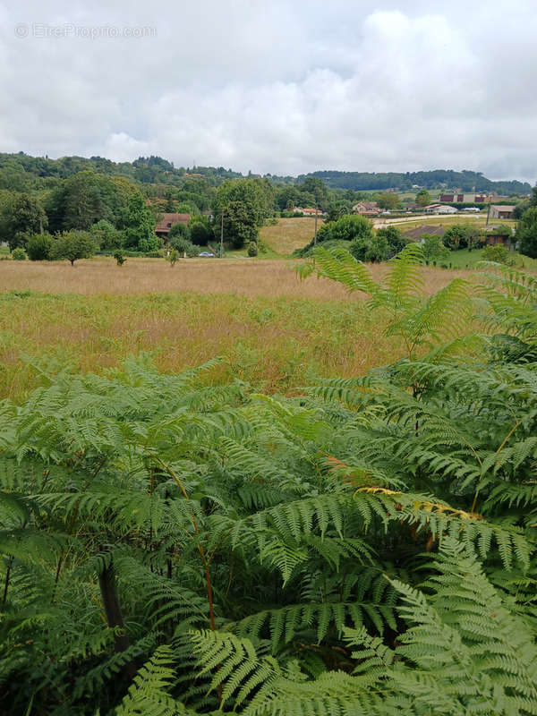 Terrain à SARLAT-LA-CANEDA