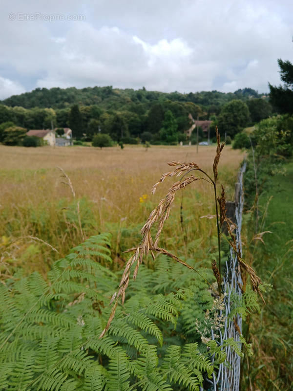 Terrain à SARLAT-LA-CANEDA