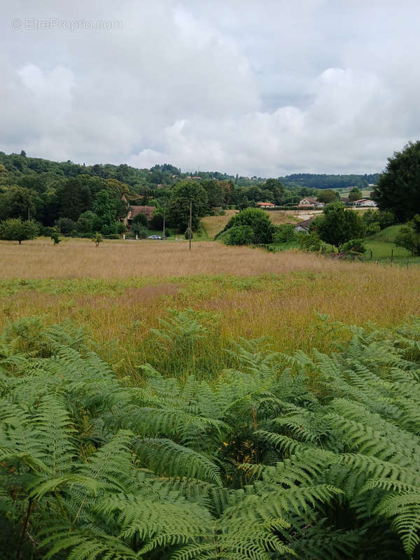 Terrain à SARLAT-LA-CANEDA