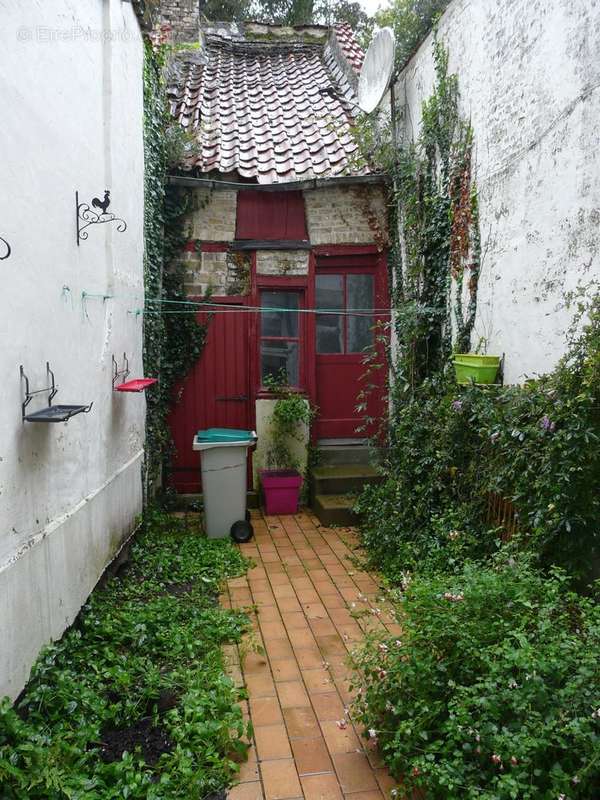 Maison centre ville Saint-omer - extérieur - Maison à SAINT-OMER