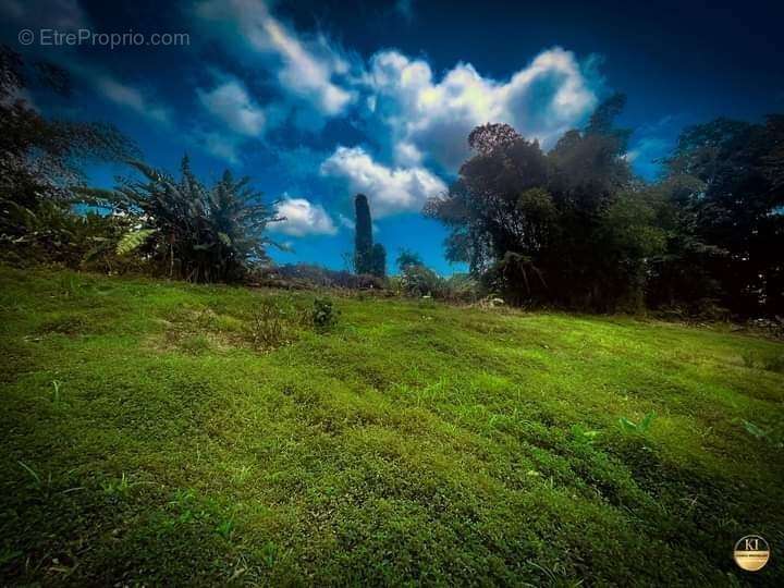 Terrain à L&#039;AJOUPA-BOUILLON