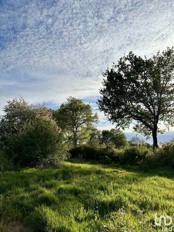 Photo 1 - Terrain à LA CHAPELLE-ACHARD