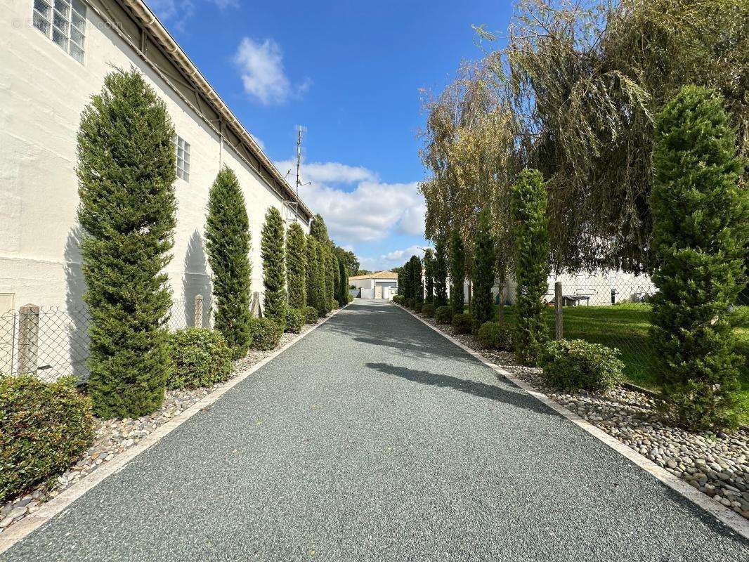 Maison à SAINT-SULPICE-DE-ROYAN