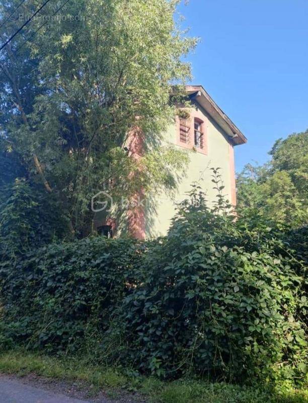 Maison à CHAZELLES-SUR-LYON