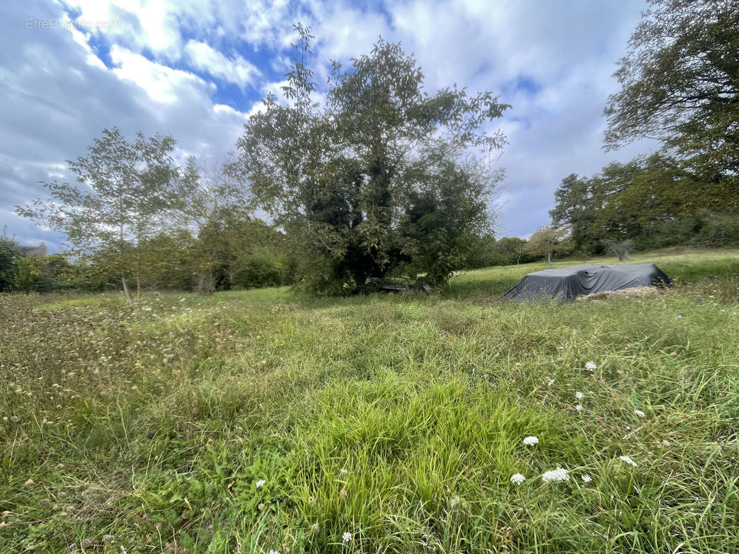 Terrain à NAILLY