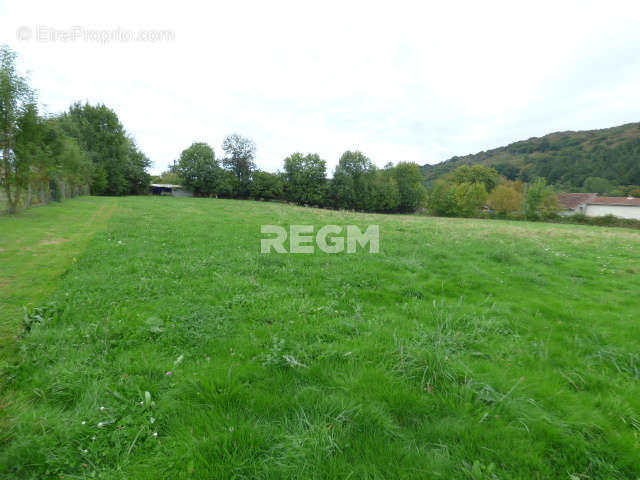 Terrain à LANNEMEZAN