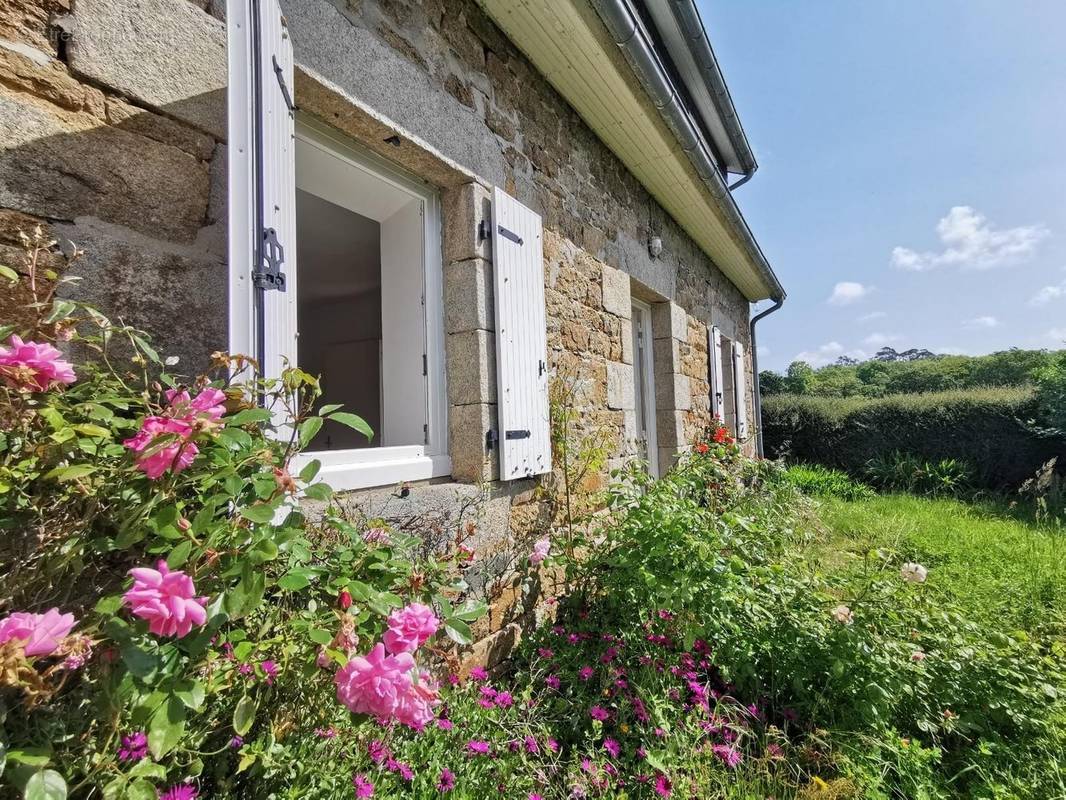 Maison à LOUANNEC