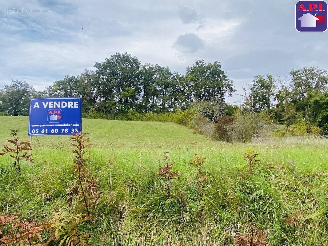 Terrain à CAMPAGNE-SUR-ARIZE