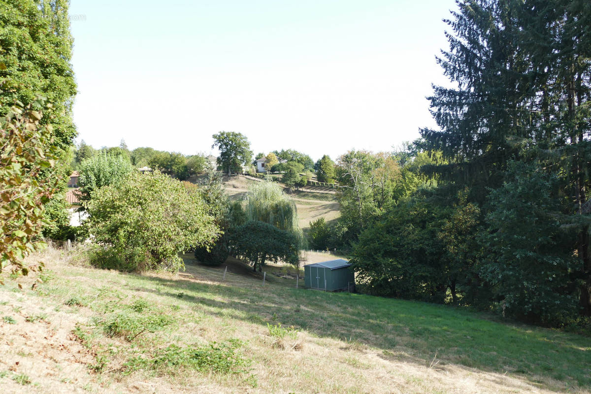 Terrain à SOLIGNAC