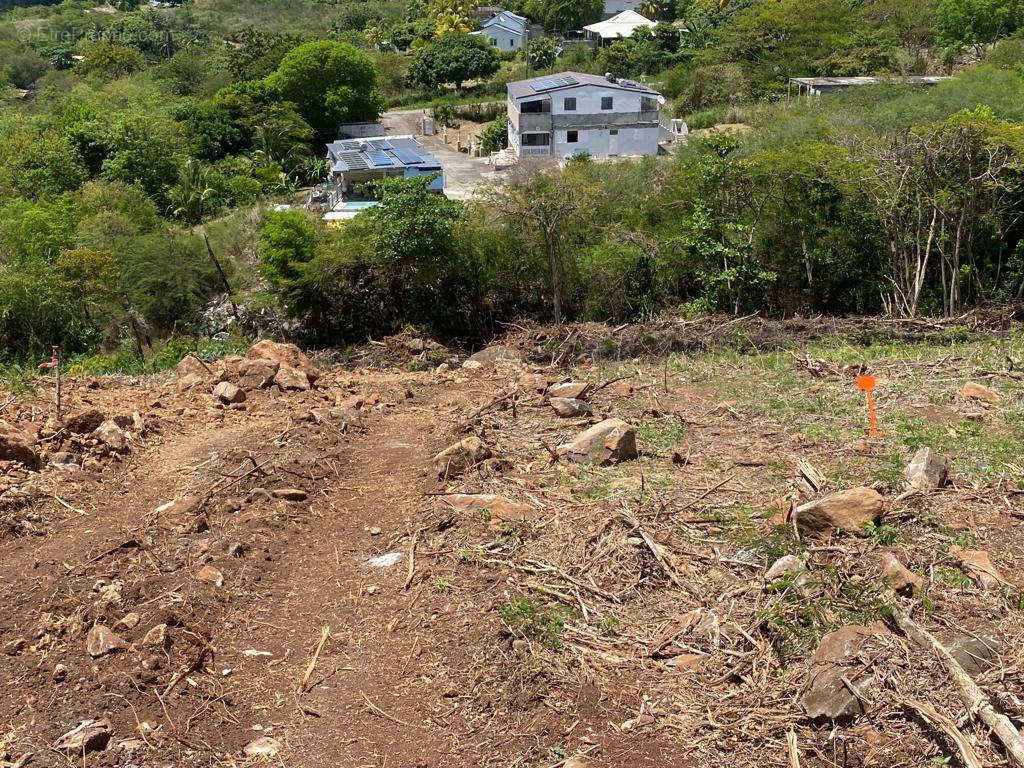 Terrain à VIEUX-HABITANTS