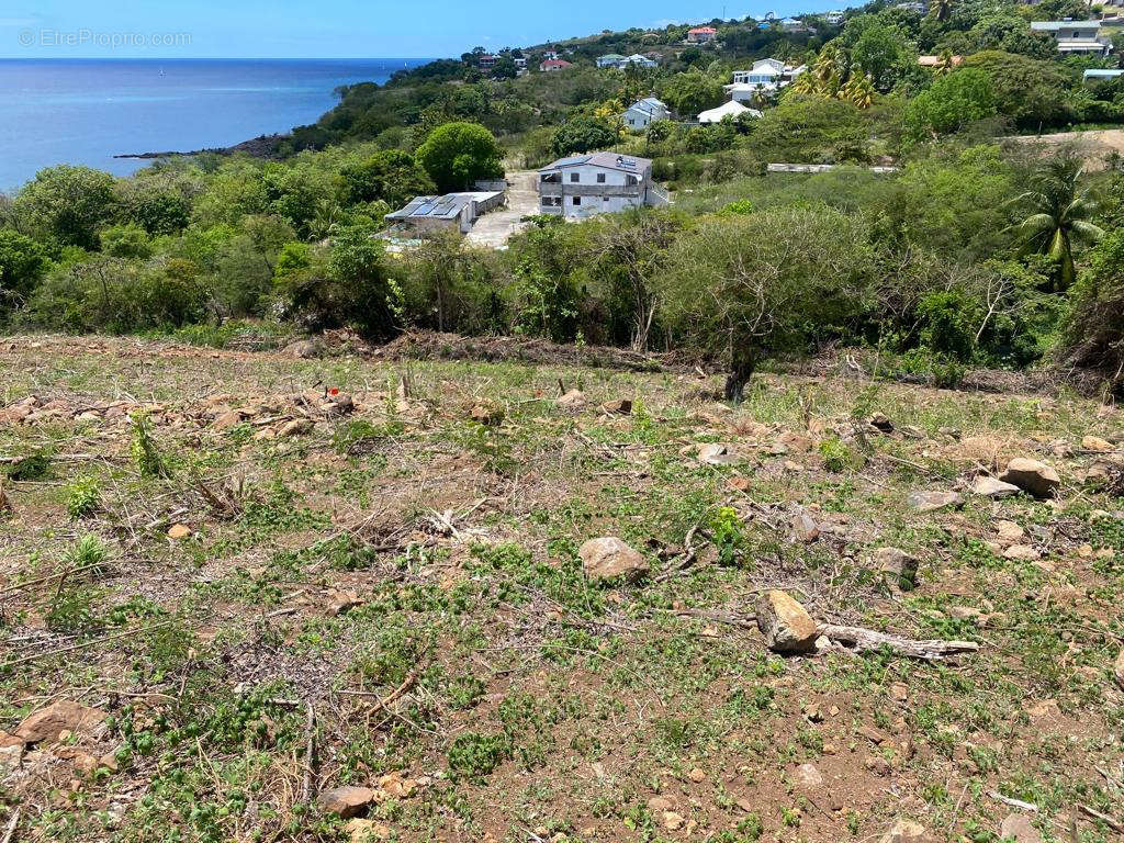 Terrain à VIEUX-HABITANTS