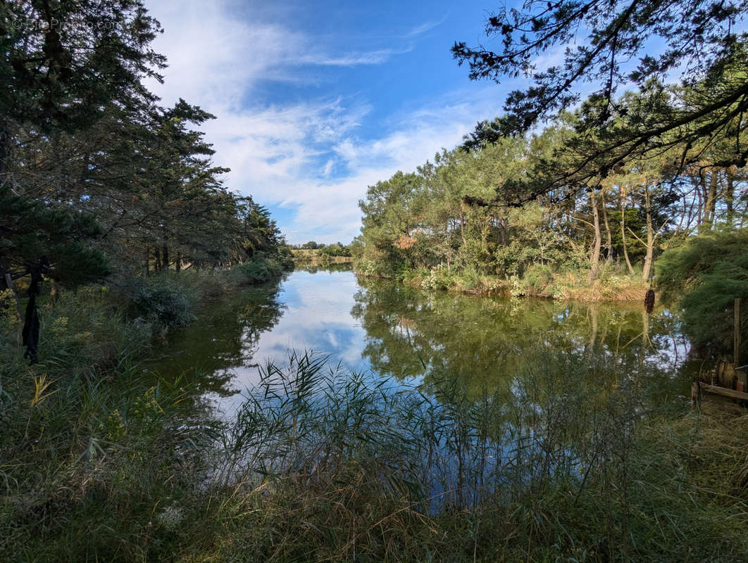 Terrain à L&#039;ILE-D&#039;OLONNE