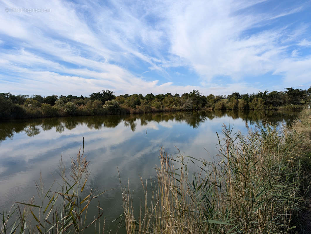 Terrain à L&#039;ILE-D&#039;OLONNE