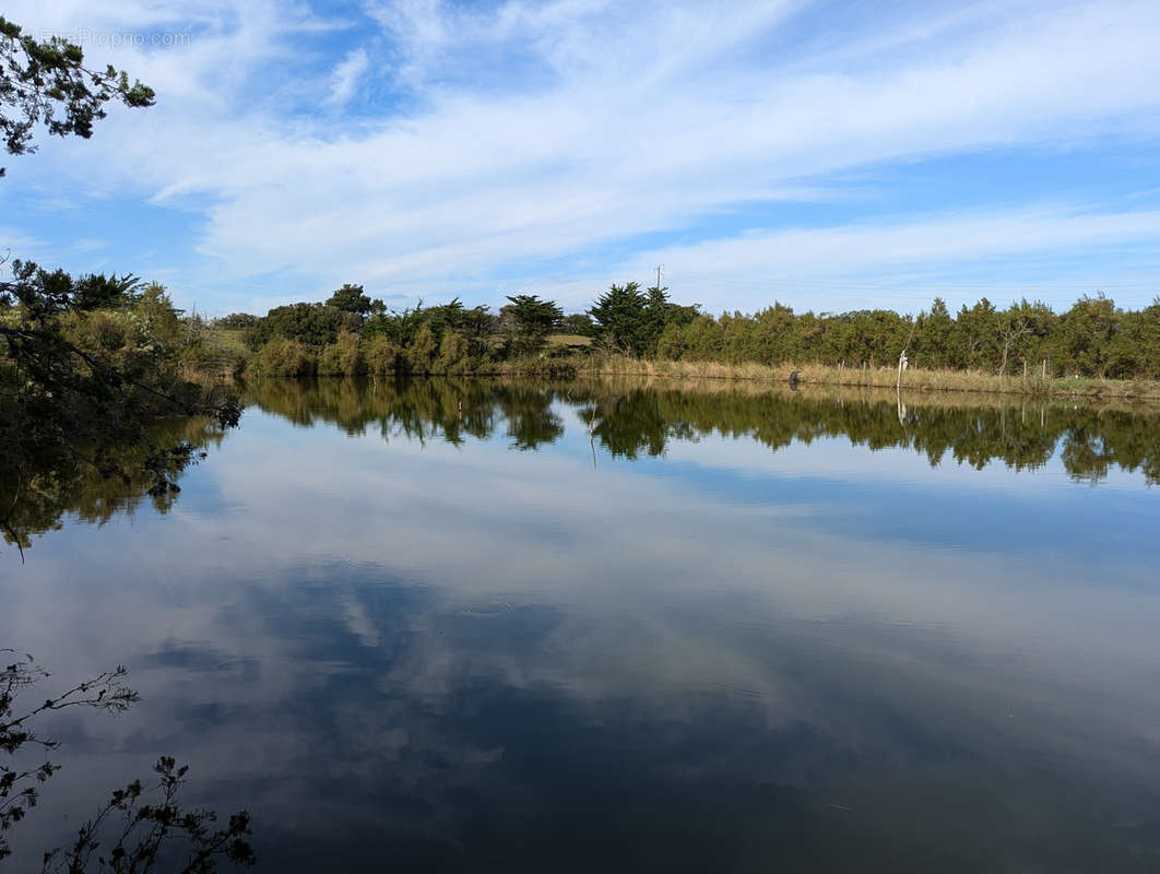 Terrain à L&#039;ILE-D&#039;OLONNE